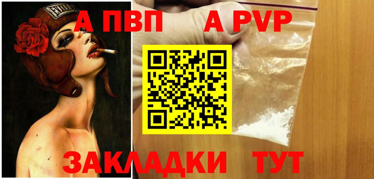 A PVP СК КРИС Тамбов