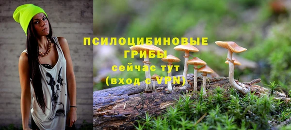 ГАЛЛЮЦИНОГЕННЫЕ ГРИБЫ Алексеевка