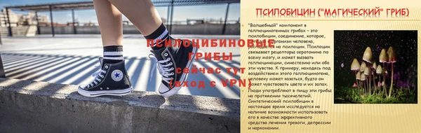 ГАЛЛЮЦИНОГЕННЫЕ ГРИБЫ Алексеевка