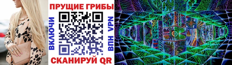 Галлюциногенные грибы прущие грибы  купить наркотики цена  Тамбов 