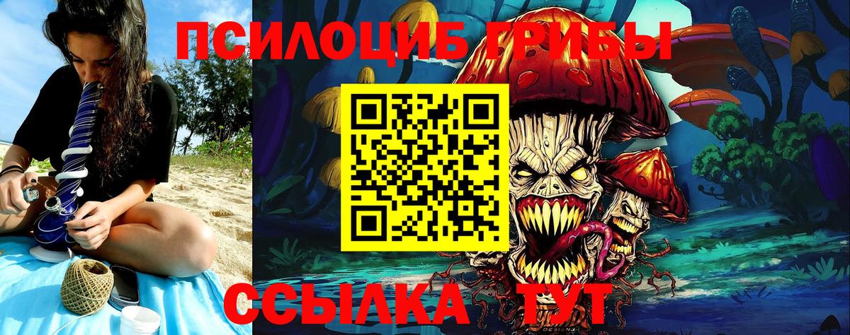Тамбов  Псилоцибиновые грибы Psilocybe  где купить наркотик  Вход с VPN 